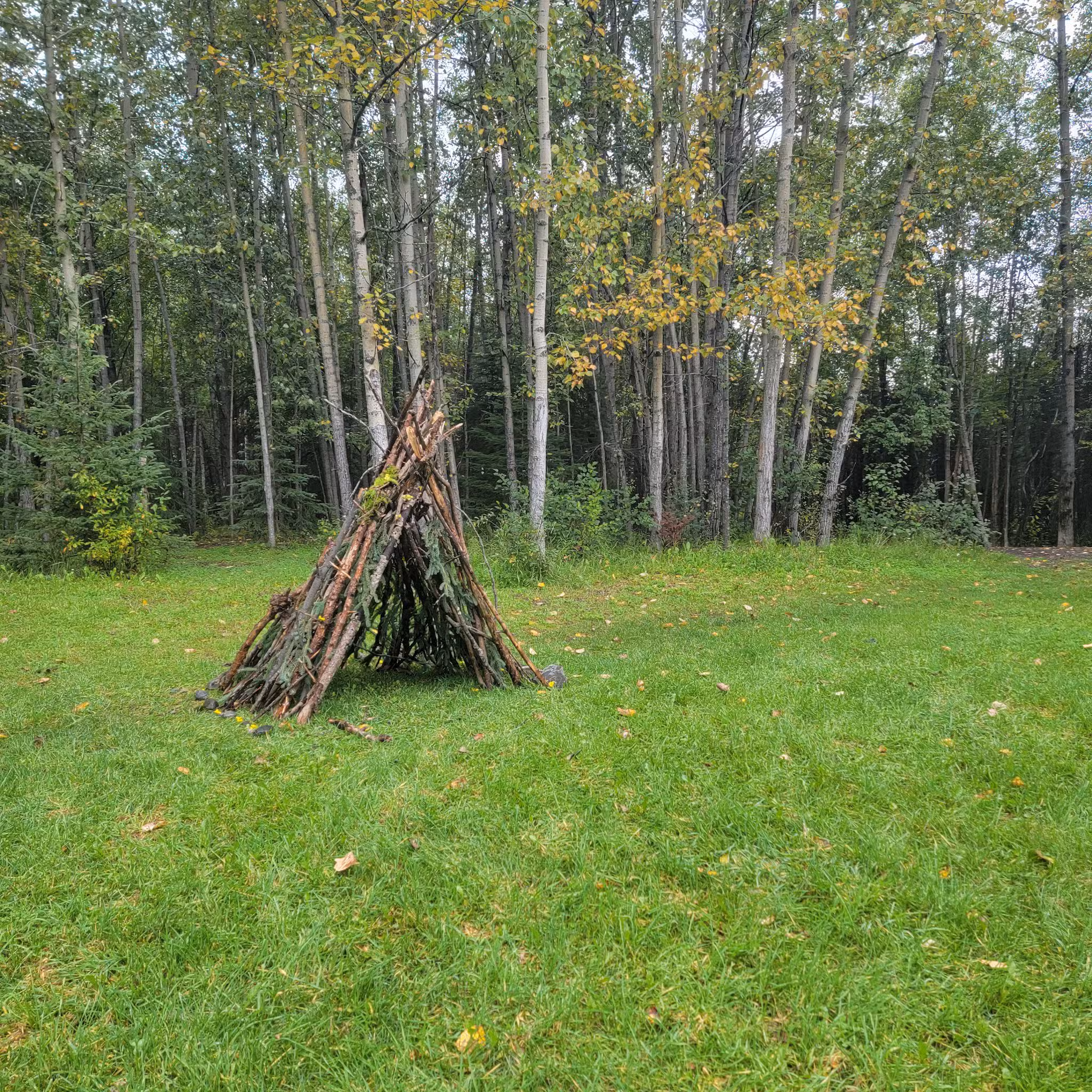Pfleiger Park - Anchorage, AK