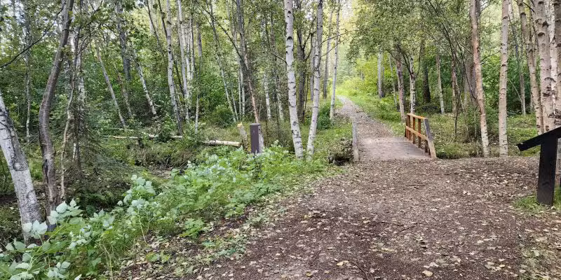 Pfleiger Park - Anchorage, AK