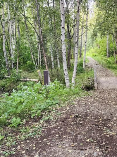 Pfleiger Park - Anchorage, AK