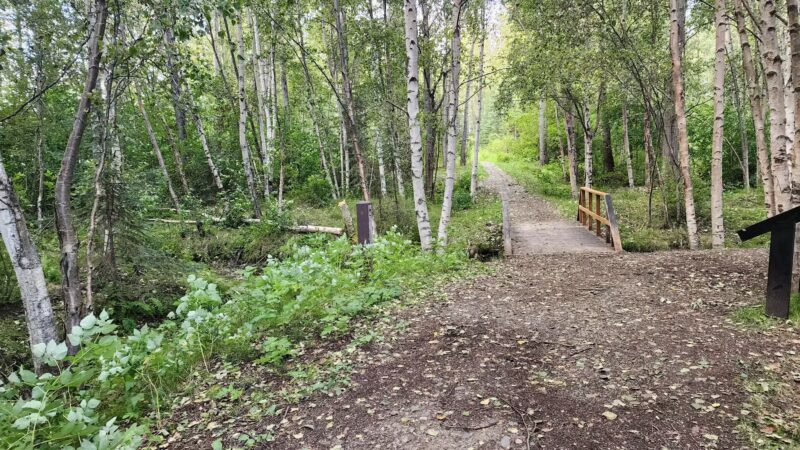 Pfleiger Park - Anchorage, AK