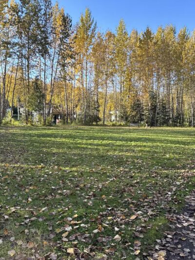 Pfleiger Park - Anchorage, AK