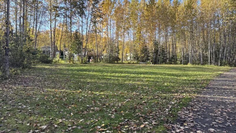 Pfleiger Park - Anchorage, AK