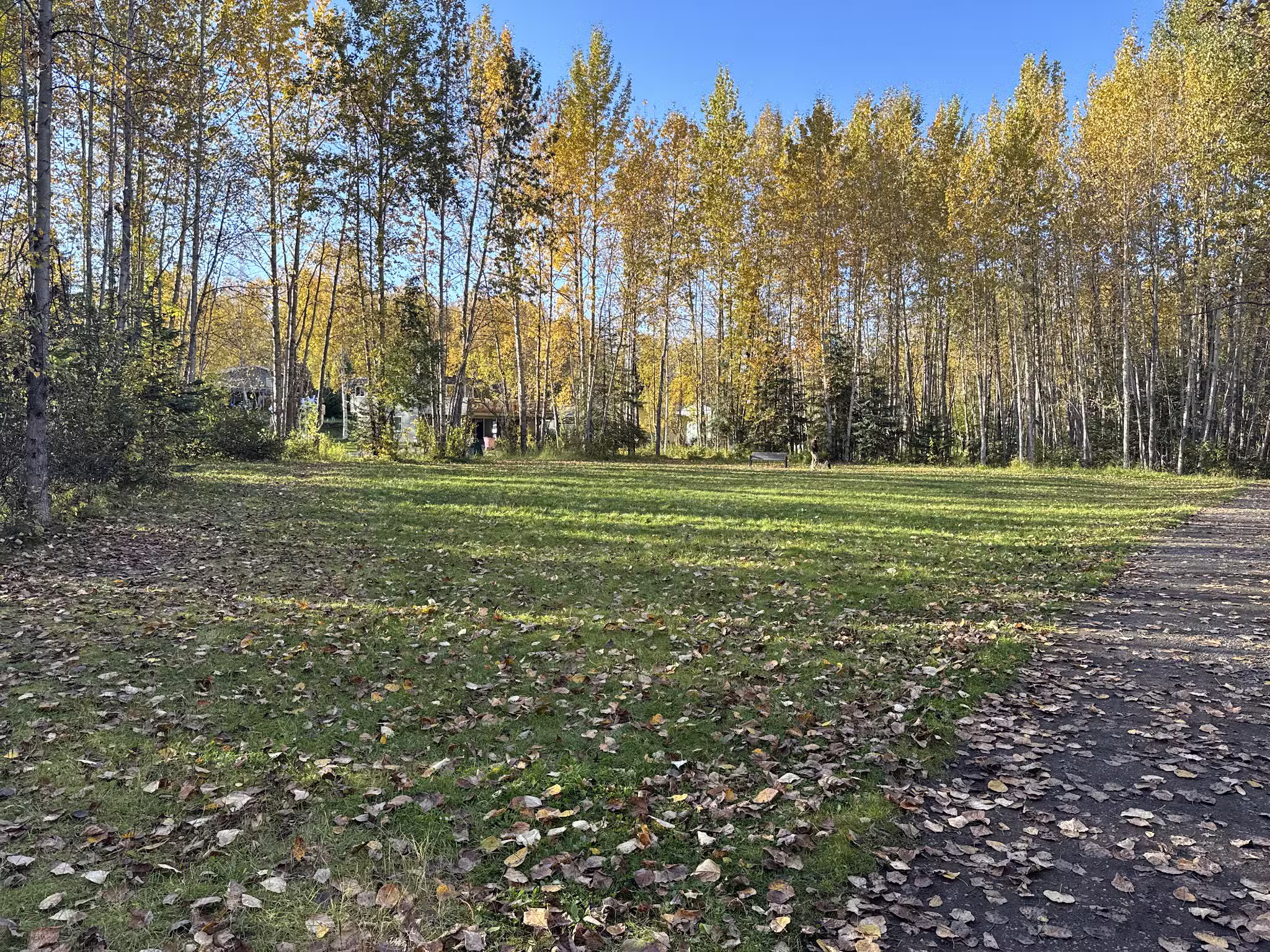 Pfleiger Park - Anchorage, AK