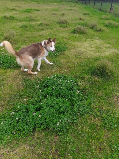 Whisper Faith Kovach Park - Anchorage, AK