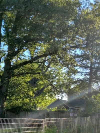 Walnut Street Park - Anderson, IN