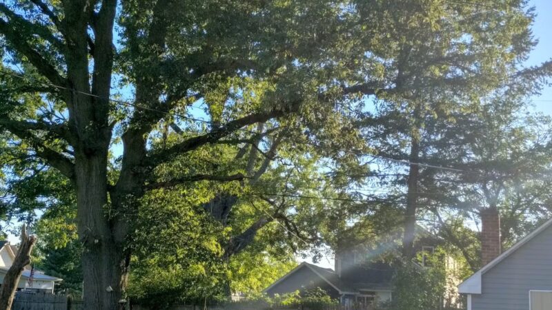 Walnut Street Park - Anderson, IN