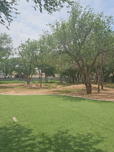 Andrews Dog Park - Andrews, TX