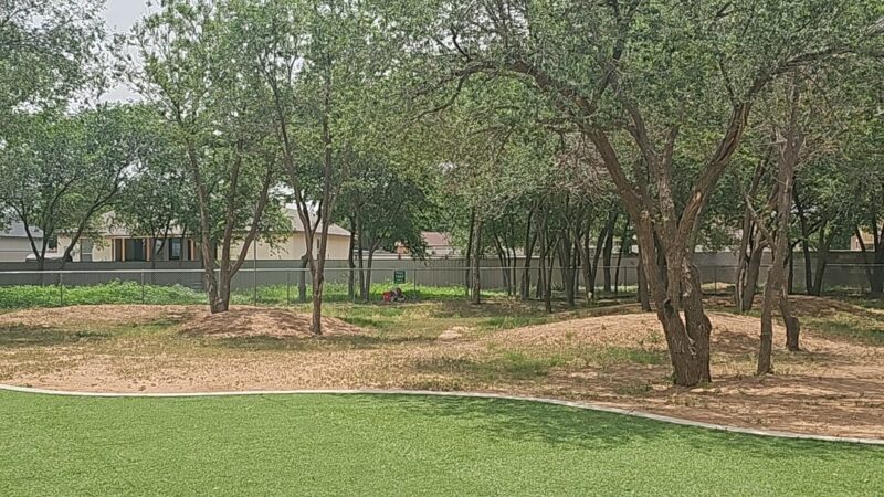 Andrews Dog Park - Andrews, TX