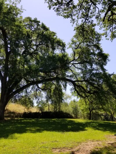 Gateway Park - Angels Camp, CA