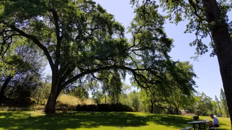 Gateway Park - Angels Camp, CA