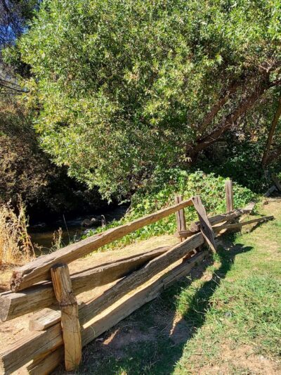 Tryon Park - Angels Camp, CA