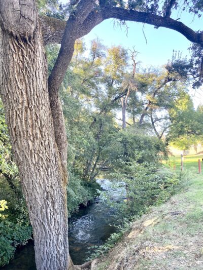 Tryon Park - Angels Camp, CA