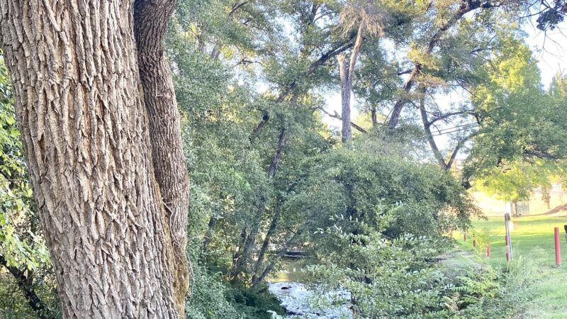 Tryon Park - Angels Camp, CA