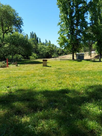 Tryon Park - Angels Camp, CA