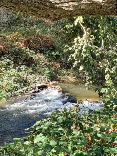 Tryon Park - Angels Camp, CA