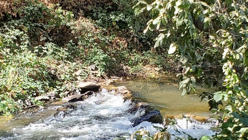 Tryon Park - Angels Camp, CA