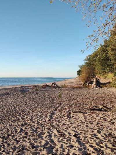 Erie County - Wendt Beach Park - Angola, NY
