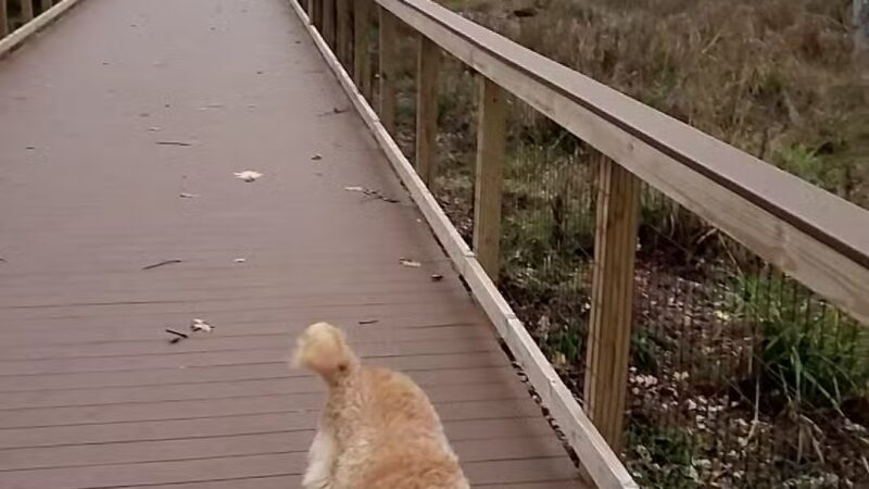 Erie County - Wendt Beach Park - Angola, NY