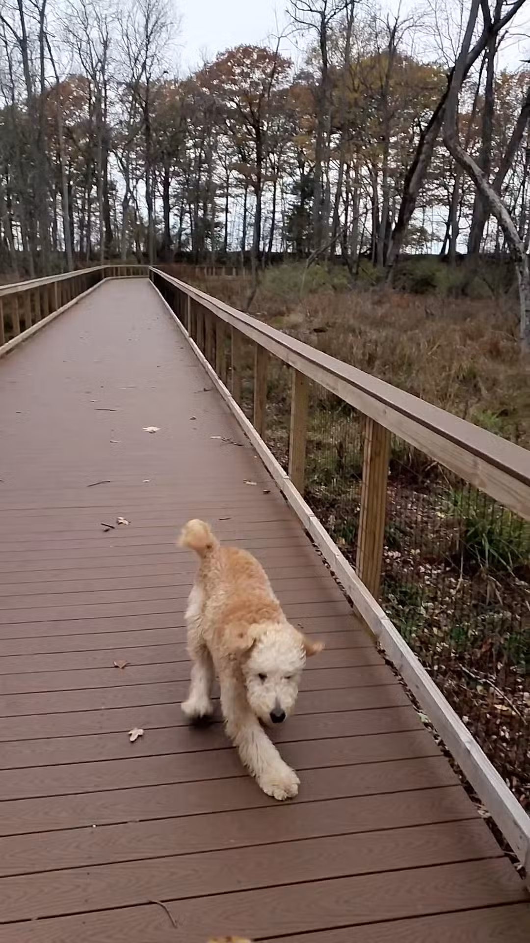 Erie County - Wendt Beach Park - Angola, NY