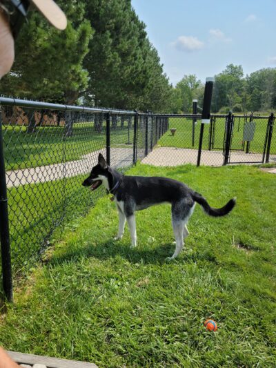 Evans Parks & Recreation - Angola, NY