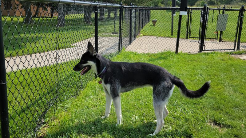 Evans Parks & Recreation - Angola, NY