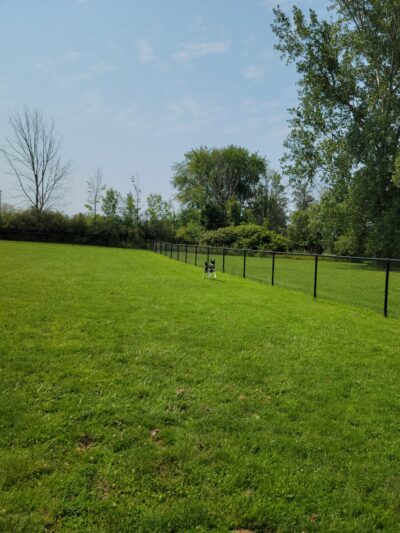 Evans Parks & Recreation - Angola, NY