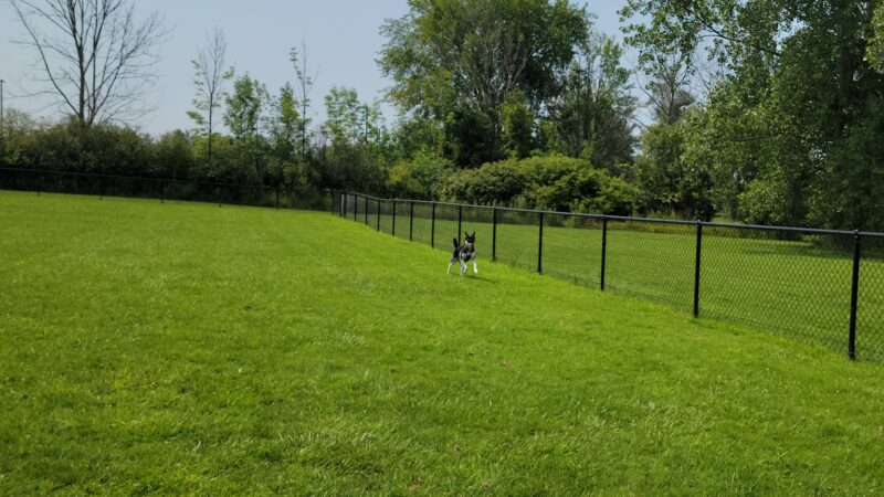 Evans Parks & Recreation - Angola, NY