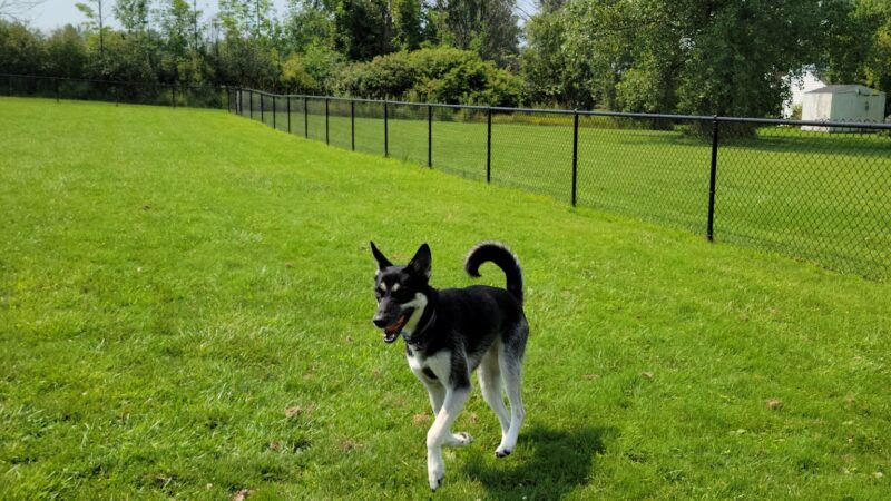 Evans Parks & Recreation - Angola, NY