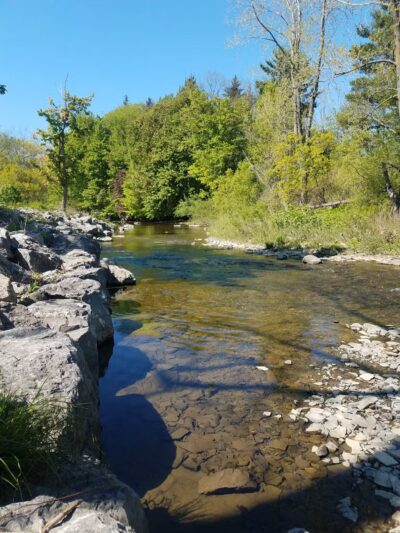Herman Park - Angola, NY