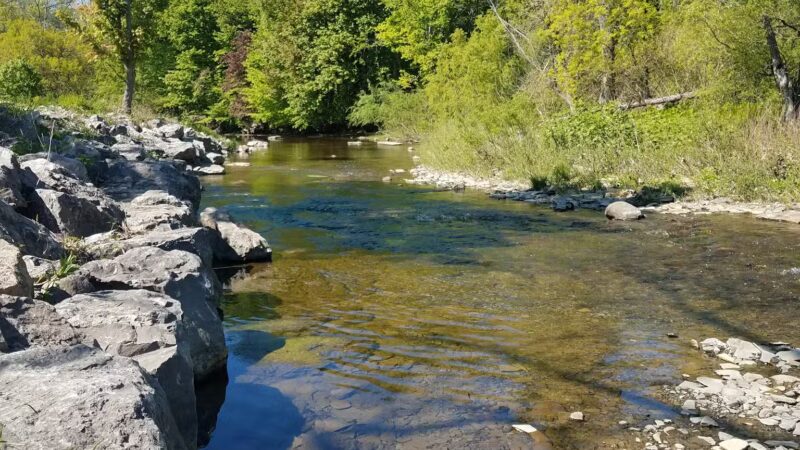 Herman Park - Angola, NY