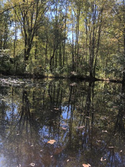 Eakin Community Park - Annandale, VA