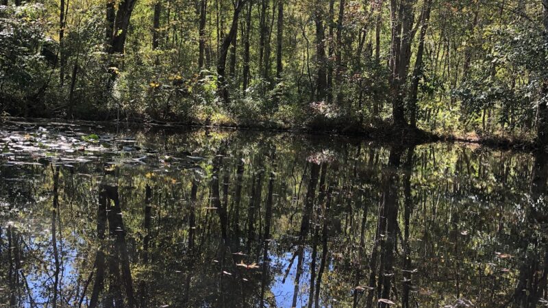 Eakin Community Park - Annandale, VA