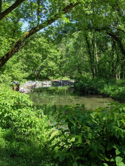 Quittie Creek Nature Park - Annville, PA