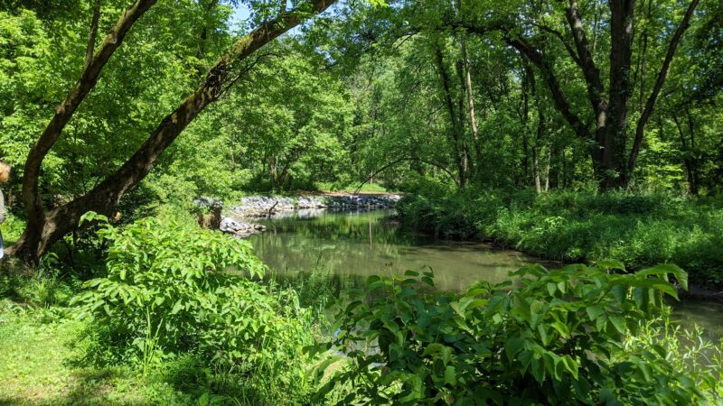 Quittie Creek Nature Park - Annville, PA