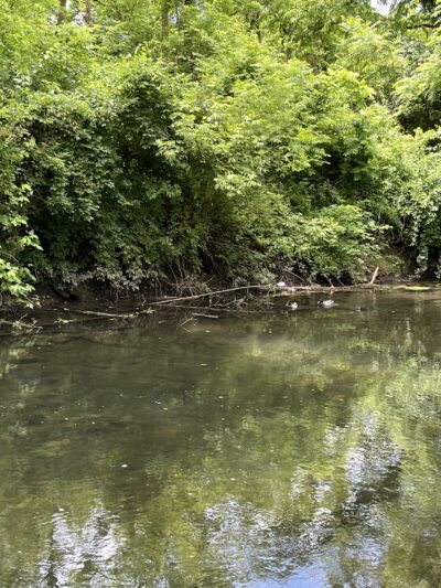 Quittie Creek Nature Park - Annville, PA