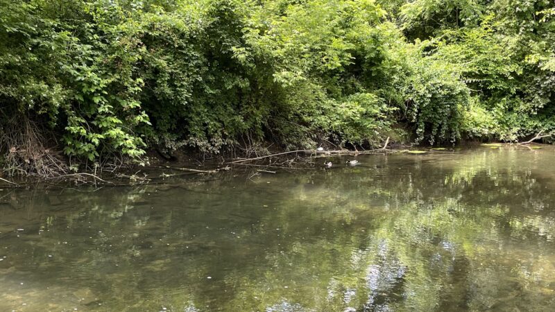 Quittie Creek Nature Park - Annville, PA