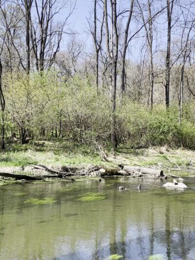 Quittie Creek Nature Park - Annville, PA