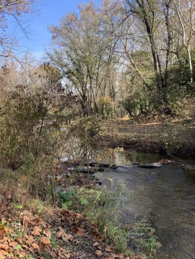 Quittie Creek Nature Park - Annville, PA