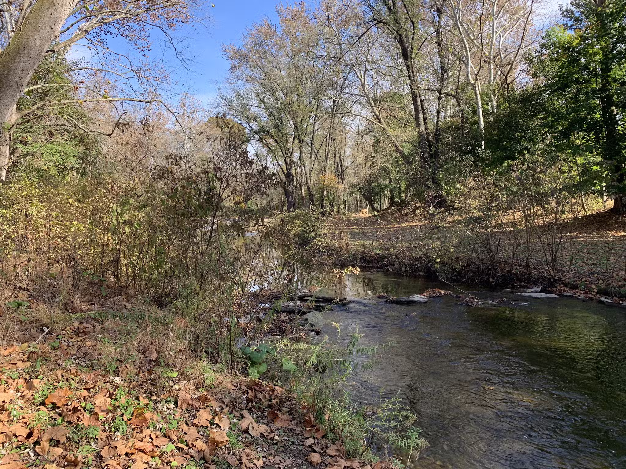 Quittie Creek Nature Park - Annville, PA