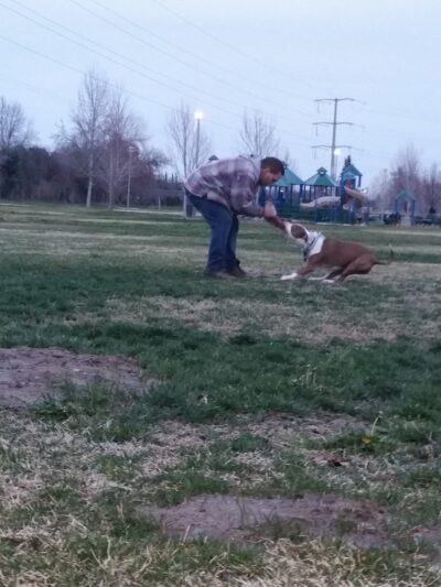 Almond Grove Park - Antelope, CA