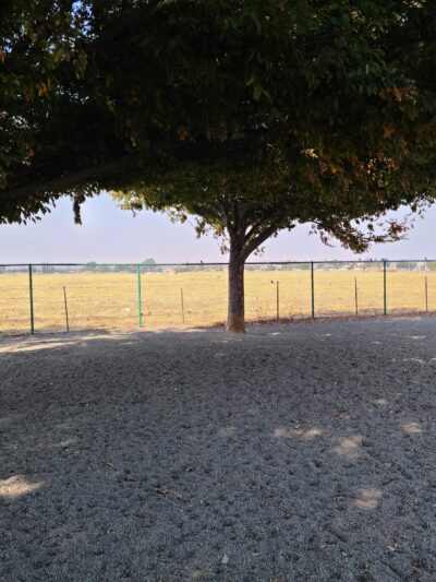 Markley Creek Dog Park - Antioch, CA