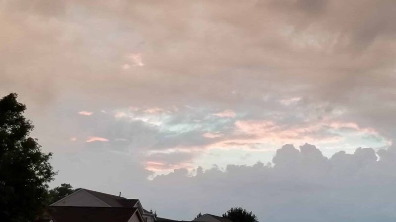 Farm Park - Antioch, IL