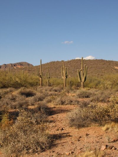 Bulldog Canyon OHV - Wolverine Gate - Apache Junction, AZ