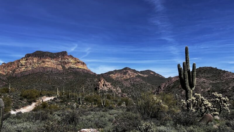 Bulldog Canyon OHV - Wolverine Gate - Apache Junction, AZ