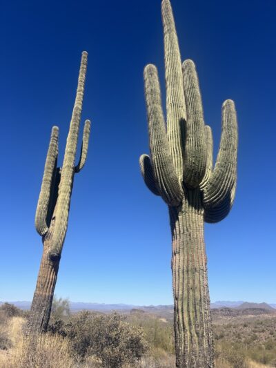 Meridian / Bulldog Pass Trailhead - Apache Junction, AZ