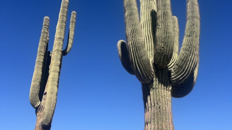 Meridian / Bulldog Pass Trailhead - Apache Junction, AZ
