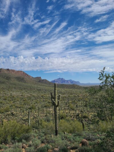Meridian / Bulldog Pass Trailhead - Apache Junction, AZ