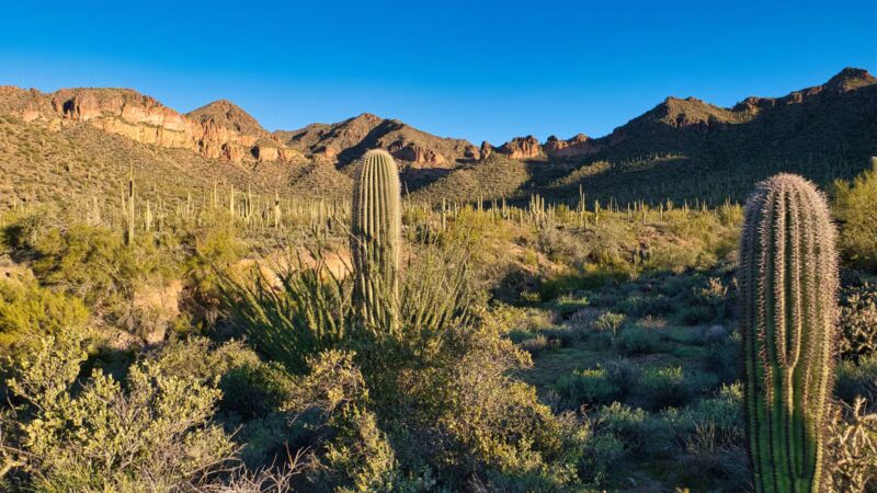 Meridian / Bulldog Pass Trailhead - Apache Junction, AZ