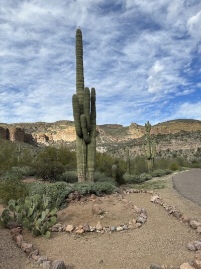 Tortilla Recreation Site - Apache Junction, AZ