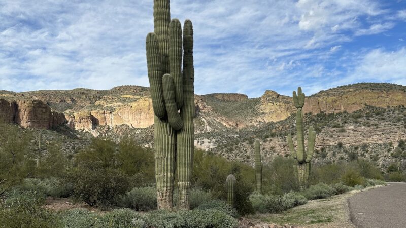 Tortilla Recreation Site - Apache Junction, AZ